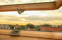 rated Dreghorn roof window companies